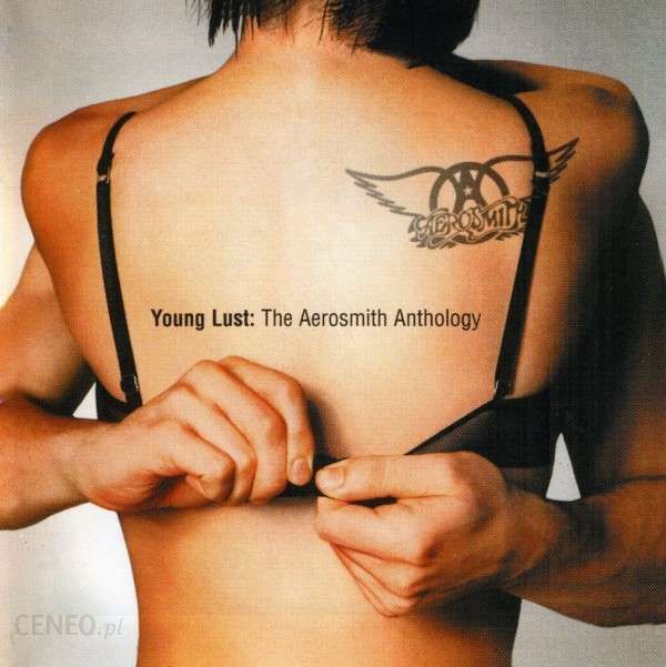 AEROSMITH – Young Lust The Aerosmith Anthology