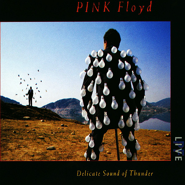 PINK FLOYD - Delicate Sound Of Thunder
