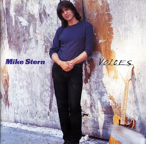 STERN MIKE - Voices