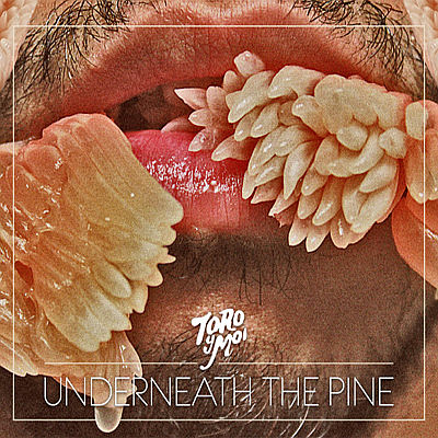 TORO Y MOI – Underneath The Pine