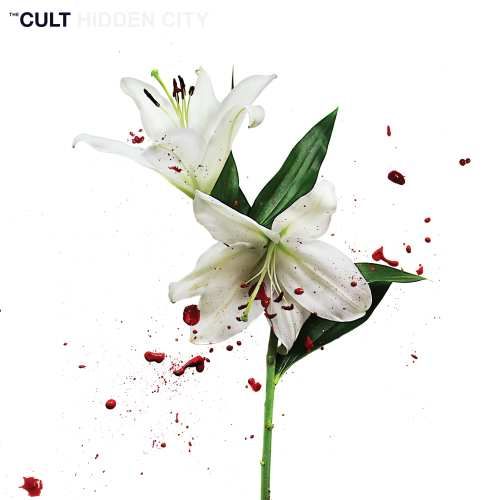 Cult – Hidden City