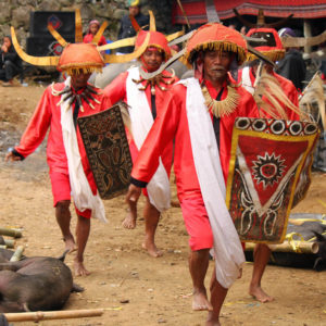 Wojownicy Podczas Ceremonii Pogrzebowej W Tana Toraja