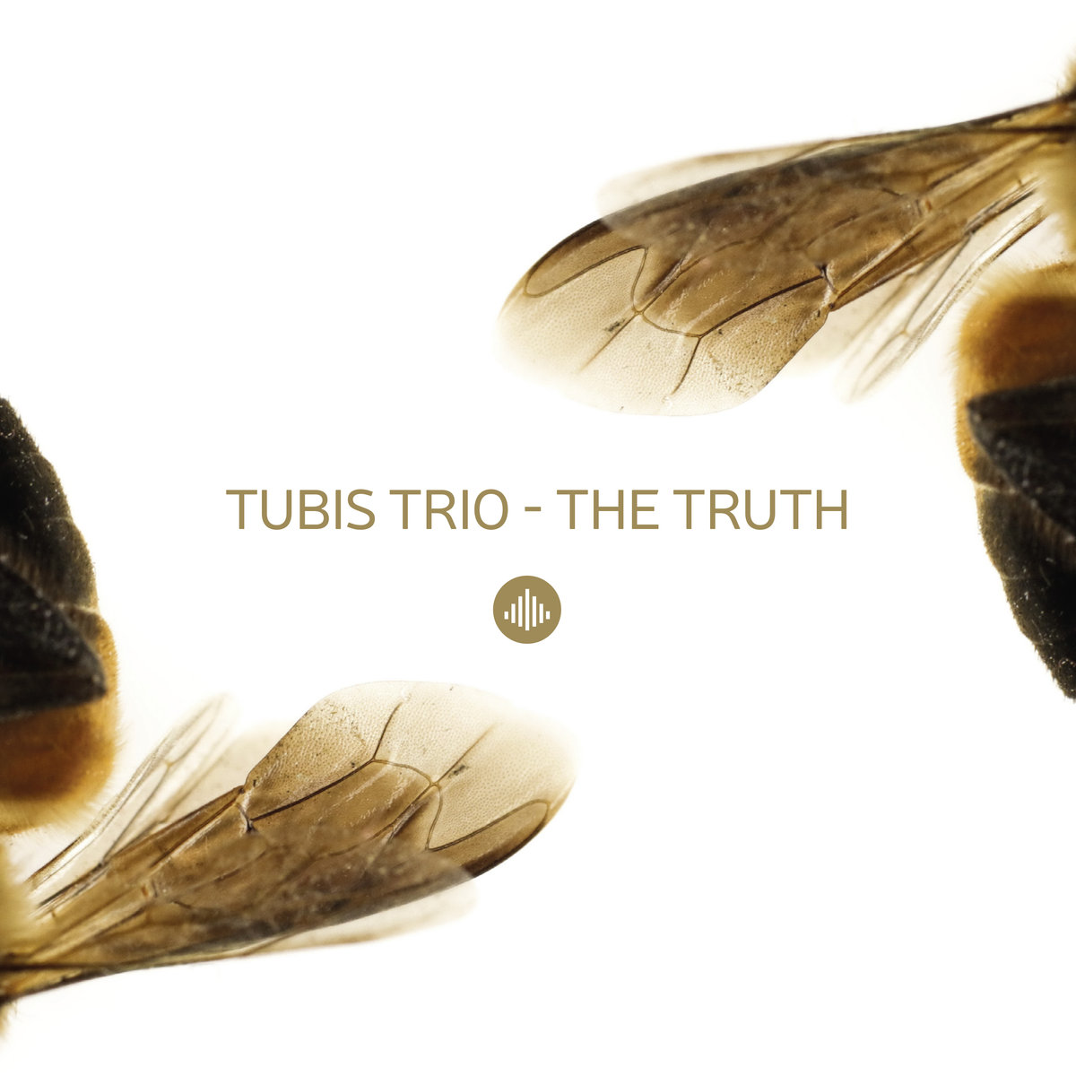 Tubis Trio – Truth