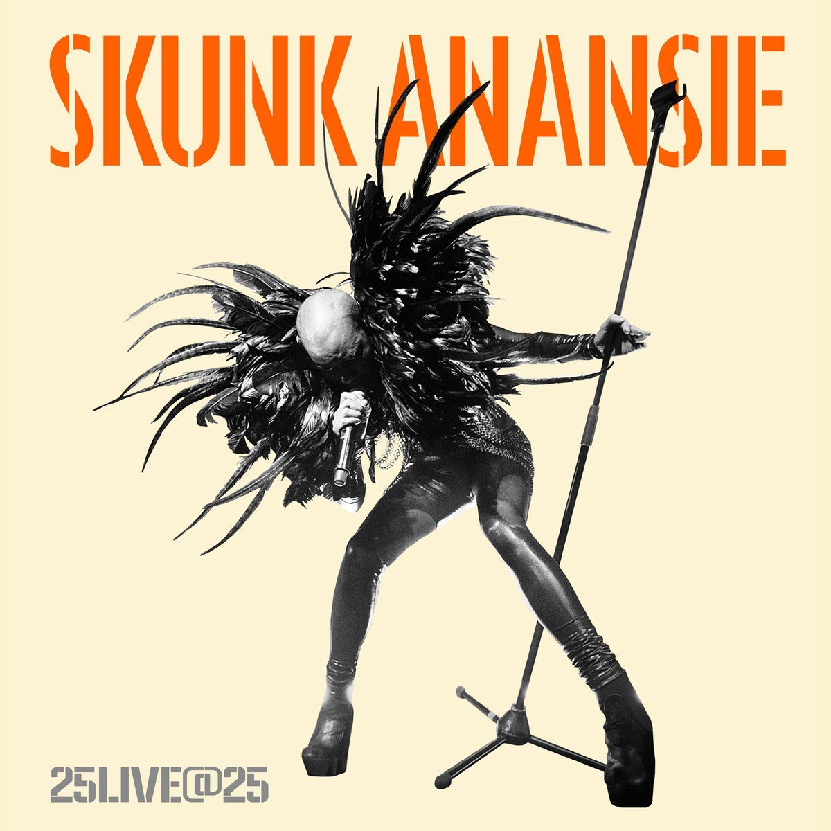 Skunk Anansie – 25 Live