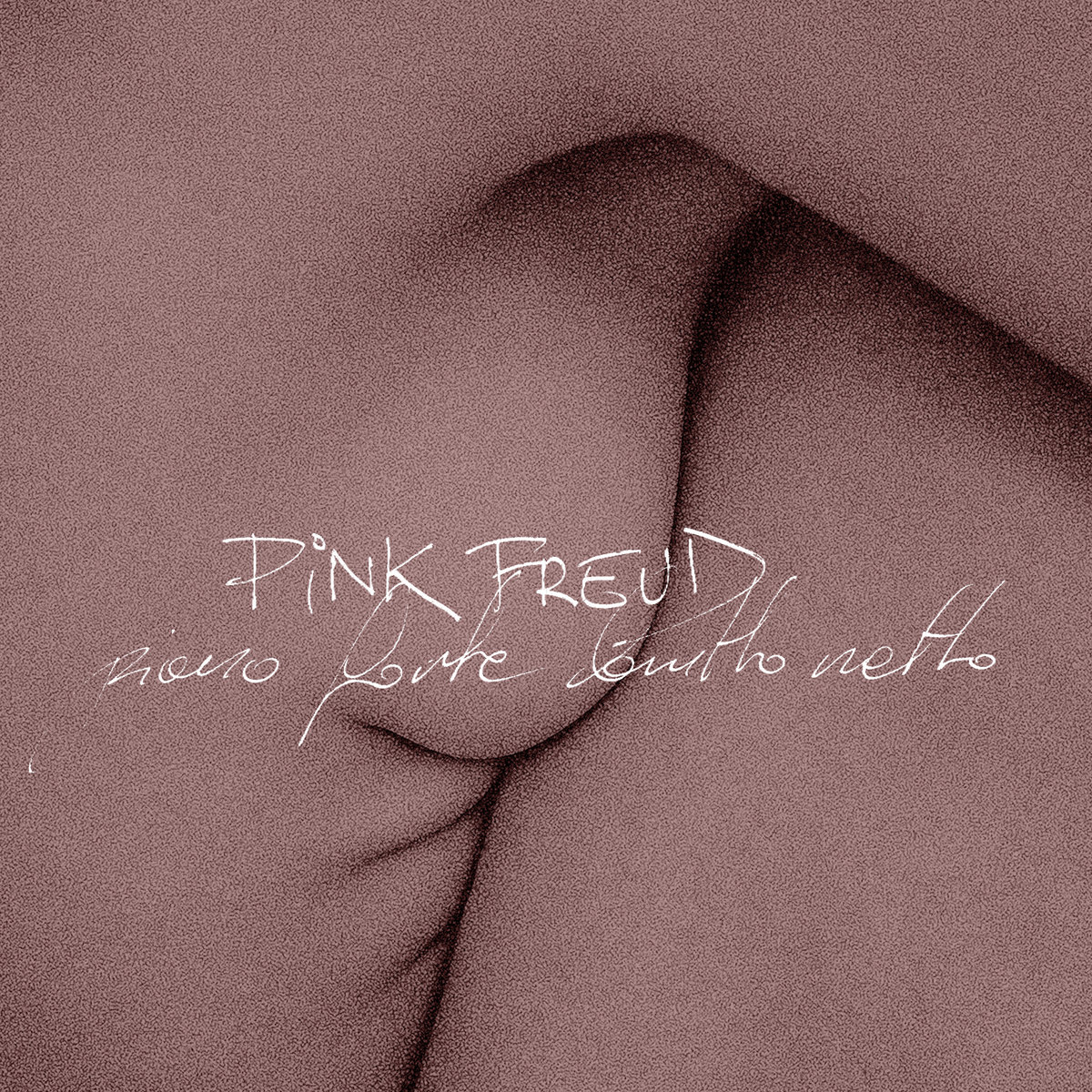 Pink Froyd - Piano Forte Brutto Netto