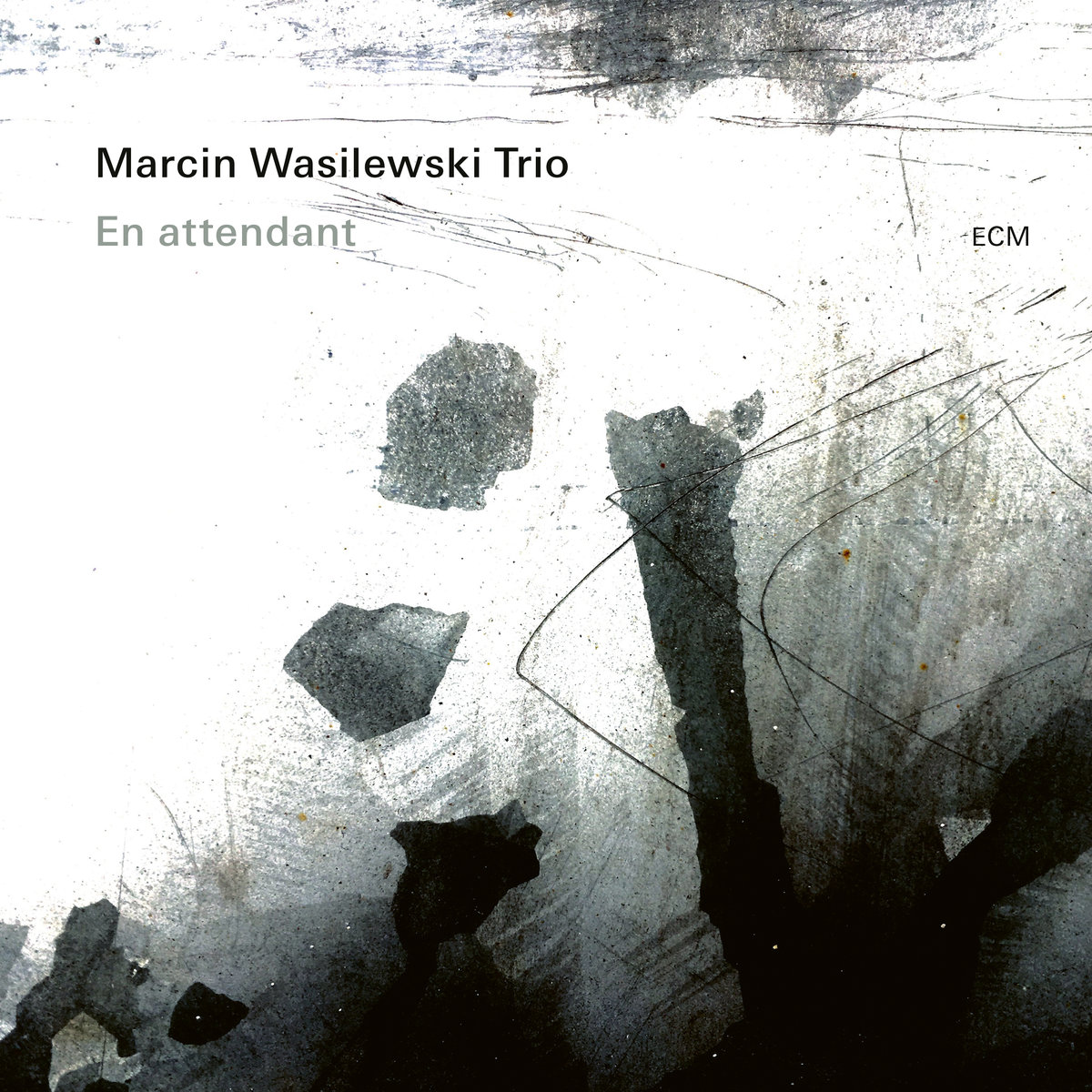Wasilewski Marcin Trio - En Attendant
