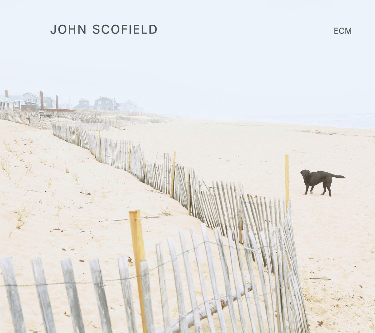SCOFIELD JOHN – Solo