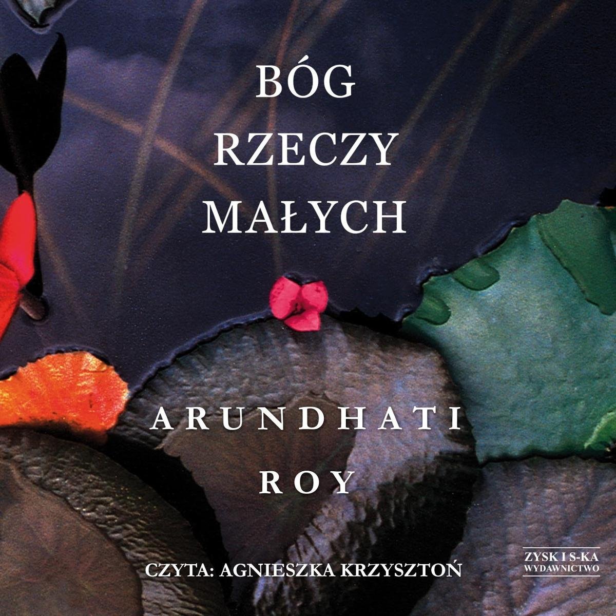 Roy Arundhati - Bóg Rzeczy Małych