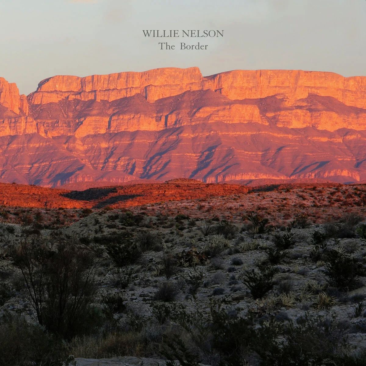 NELSON WILLIE – Border