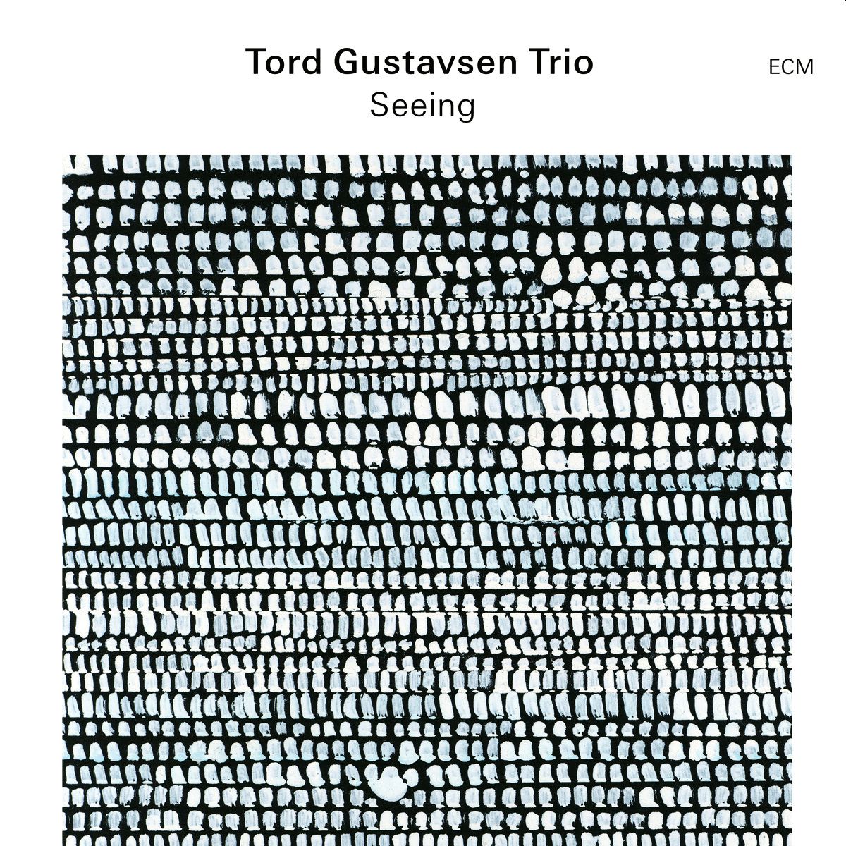 GUSTAVSEN TORD TRIO - Seeing